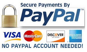 paypal secure image